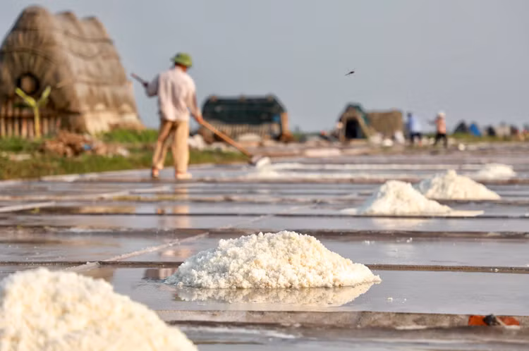 Mặn mòi nghề làm muối ở Bạch Long, Nam Định Man moi nghe lam muoi o Bach Long, Nam Dinh