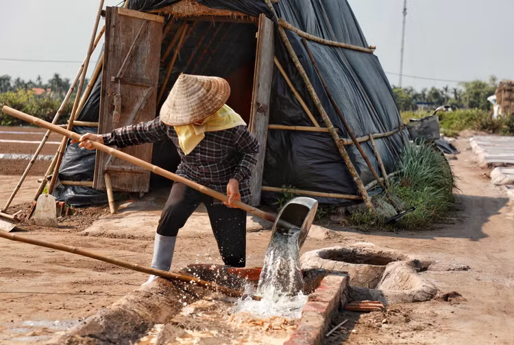 Mặn mòi nghề làm muối ở Bạch Long, Nam Định - Hình 12 Man moi nghe lam muoi o Bach Long, Nam Dinh-Hinh-12