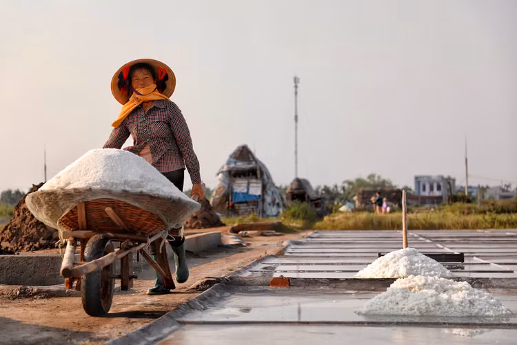 Mặn mòi nghề làm muối ở Bạch Long, Nam Định - Hình 9 Man moi nghe lam muoi o Bach Long, Nam Dinh-Hinh-9