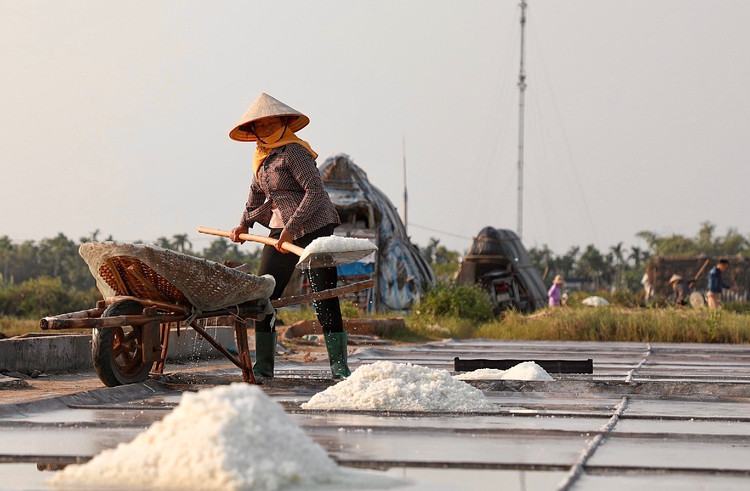 Mặn mòi nghề làm muối ở Bạch Long, Nam Định - Hình 8 Man moi nghe lam muoi o Bach Long, Nam Dinh-Hinh-8
