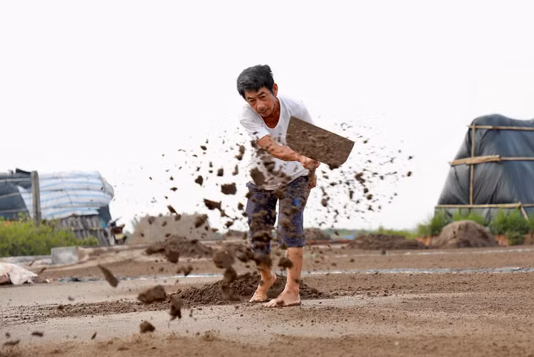 Mặn mòi nghề làm muối ở Bạch Long, Nam Định - Hình 2 Man moi nghe lam muoi o Bach Long, Nam Dinh-Hinh-2