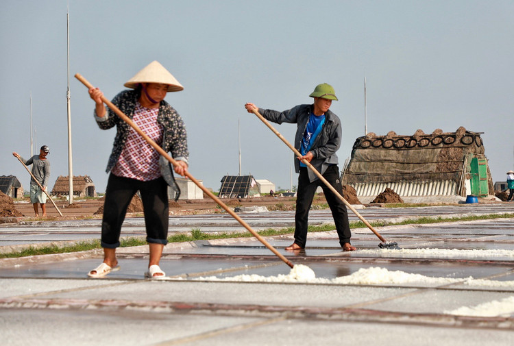 Mặn mòi nghề làm muối ở Bạch Long, Nam Định - Hình 6 Man moi nghe lam muoi o Bach Long, Nam Dinh-Hinh-6