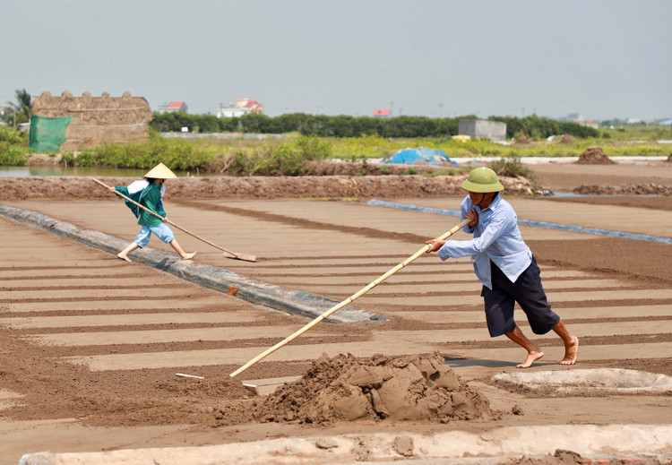 Mặn mòi nghề làm muối ở Bạch Long, Nam Định - Hình 3 Man moi nghe lam muoi o Bach Long, Nam Dinh-Hinh-3