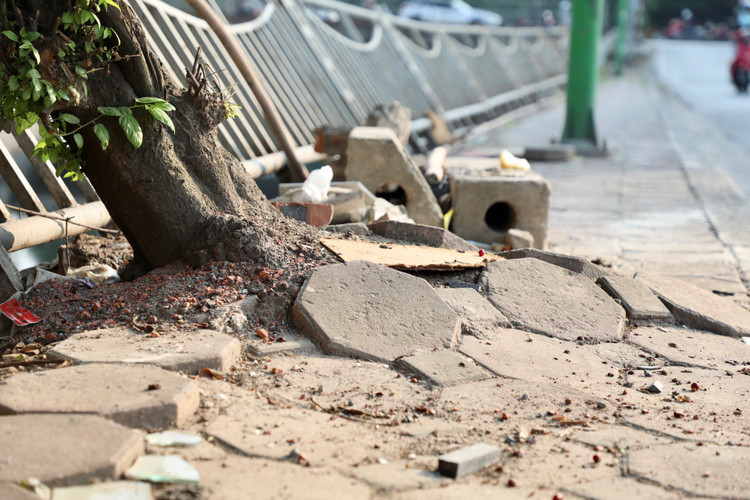 Lan can bao ve nhieu con song tai Ha Noi xuong cap nghiem trong-Hinh-5