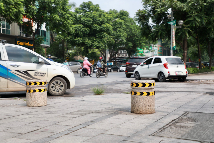Muon kieu rao chan, bao ve via he o Ha Noi-Hinh-2