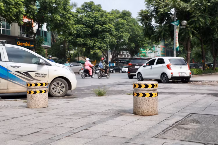 Muon kieu rao chan, bao ve via he o Ha Noi-Hinh-2