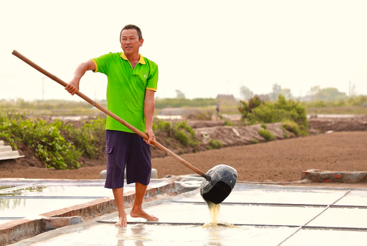 Mặn mòi nghề làm muối ở Bạch Long, Nam Định - Hình 4 Man moi nghe lam muoi o Bach Long, Nam Dinh-Hinh-4