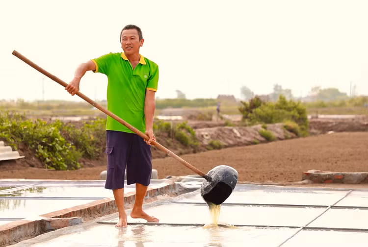 Mặn mòi nghề làm muối ở Bạch Long, Nam Định - Hình 4 Man moi nghe lam muoi o Bach Long, Nam Dinh-Hinh-4