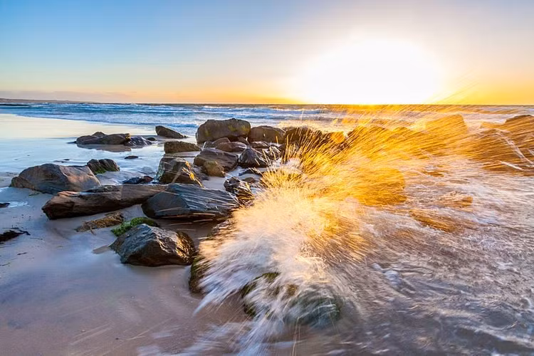 Co 20 trieu tan vang trong nuoc bien, sao con nguoi khong the khai thac?-Hinh-4