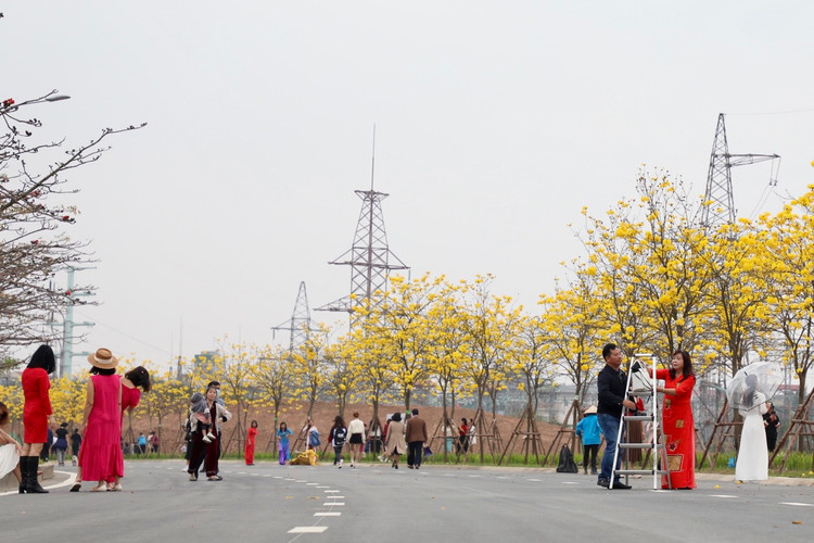 Duong hoa phong linh dep tua troi Au giua long Ha Noi-Hinh-2