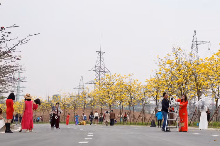 Duong hoa phong linh dep tua troi Au giua long Ha Noi-Hinh-2
