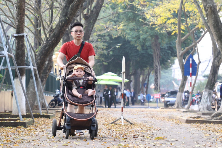 Ha Noi: Gioi tre do xo di chup anh mua cay thay la-Hinh-7