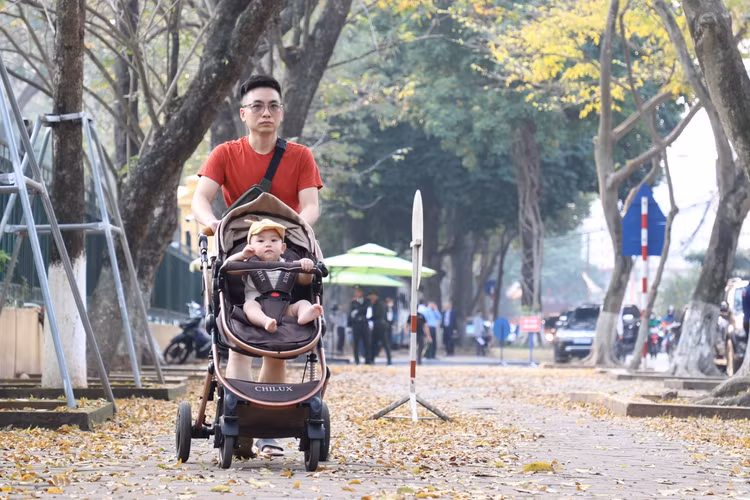 Ha Noi: Gioi tre do xo di chup anh mua cay thay la-Hinh-7