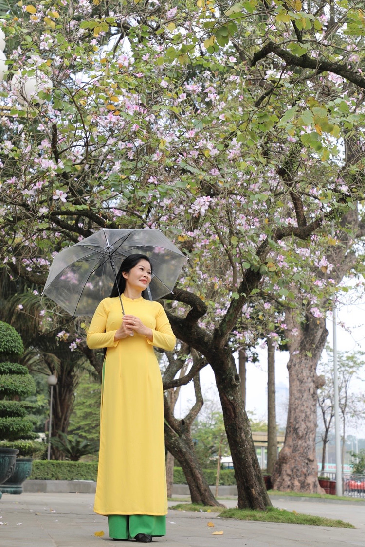 Hoa ban no ro, giua long Thu do ma ngo nhu rung Tay Bac-Hinh-5