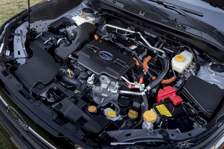 Subaru Forester 2025 tu 736 trieu, an toan hon voi tui khi ngoai-Hinh-14