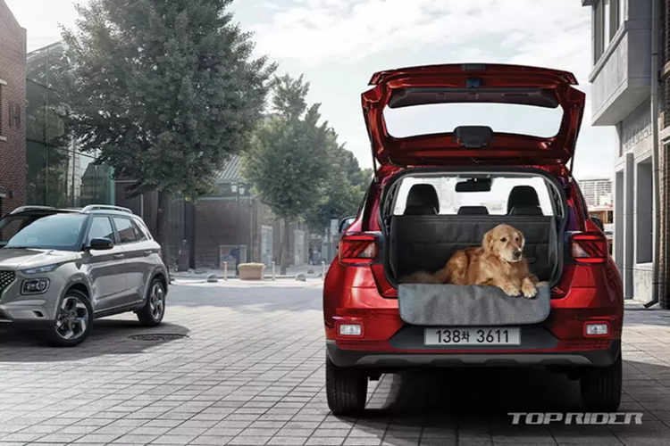 Hyundai Venue 2025 trang bi “xin so“, chi tu 359 trieu dong-Hinh-4