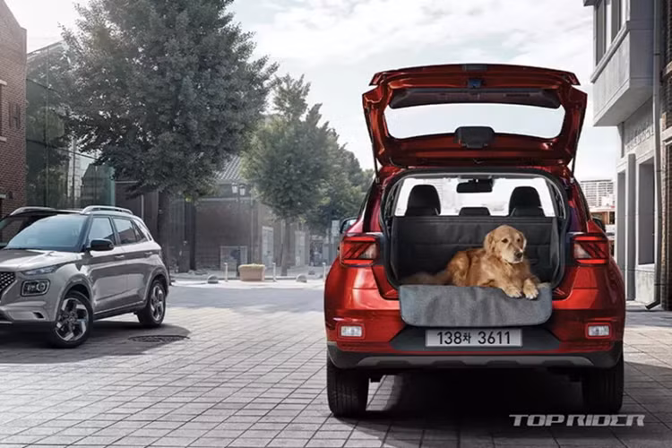 Hyundai Venue 2025 trang bi “xin so“, chi tu 359 trieu dong-Hinh-4