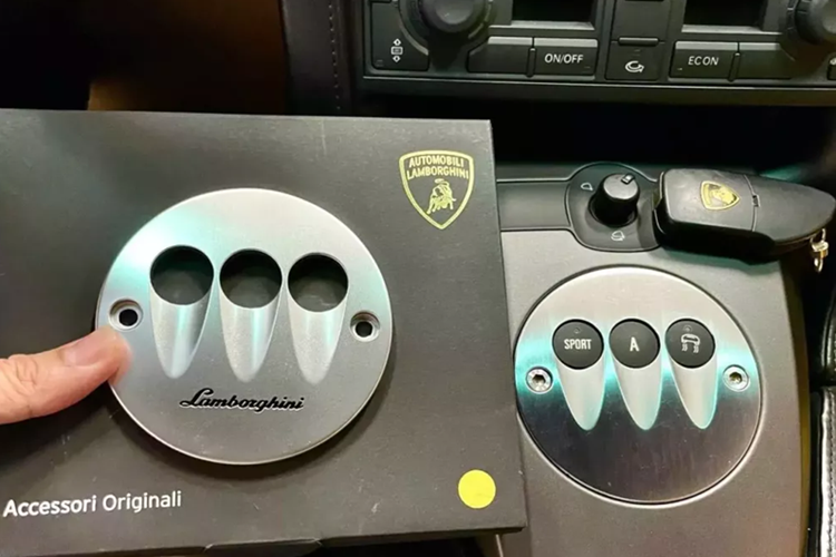 “Nuoi bo gia” Lamborghini Gallardo gan 23 nam ton kem ra sao?-Hinh-3