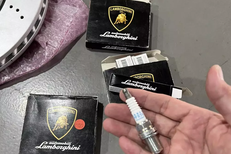 “Nuoi bo gia” Lamborghini Gallardo gan 23 nam ton kem ra sao?-Hinh-4