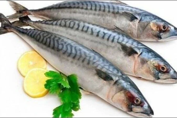 Khám phá lợi ích của cá thu đối với sức khỏe 