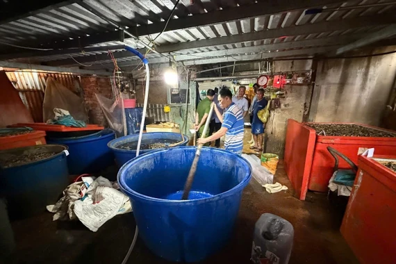 Ăn ốc tẩm ướp hóa chất công nghiệp nguy hiểm cho sức khỏe thế nào?