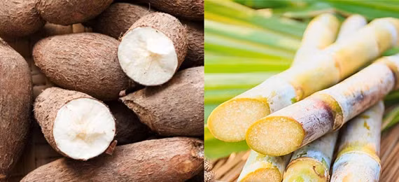 Cảnh báo về mì chính sang chiết: Nguy cơ mất an toàn thực phẩm