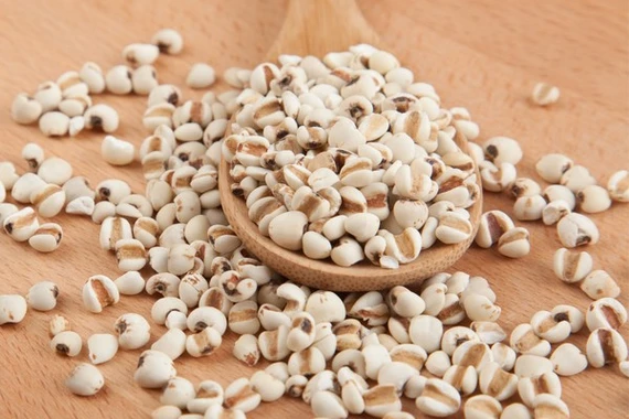 Cục Y Dược yêu cầu thu hồi toàn quốc lô dược liệu ý dĩ kém chất lượng 