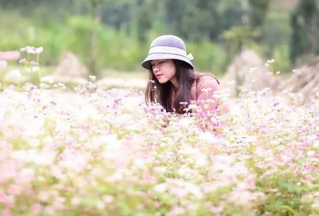 Lưu giữ thanh xanh trên những cánh đồng hoa tam giác mạch. Ảnh: PYS Travel.