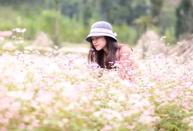 Lưu giữ thanh xanh trên những cánh đồng hoa tam giác mạch. Ảnh: PYS Travel. Lưu giữ thanh xanh trên những cánh đồng hoa tam giác mạch. Ảnh: PYS Travel.