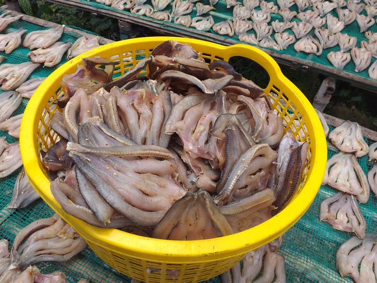 Trong số nhiều sản phẩm khô thì khô cá lóc của làng nghề Phú Thọ là nổi tiếng hơn cả bởi chất lượng tuyệt hảo.