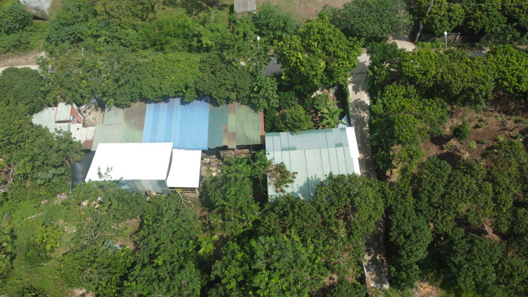 Cơ sở giết mổ gia súc không phép, không đảm bảo vệ sinh thú y, nguy cơ lây lan dịch bệnh, mất an toàn vệ sinh thực phẩm, có dấu hiệu ô nhiễm môi trường của ông Đặng Văn Tr.