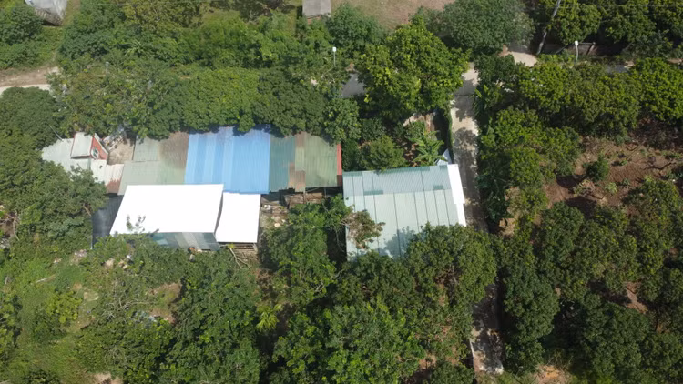 Cơ sở giết mổ gia súc không phép, không đảm bảo vệ sinh thú y, nguy cơ lây lan dịch bệnh, mất an toàn vệ sinh thực phẩm, có dấu hiệu ô nhiễm môi trường của ông Đặng Văn Tr.