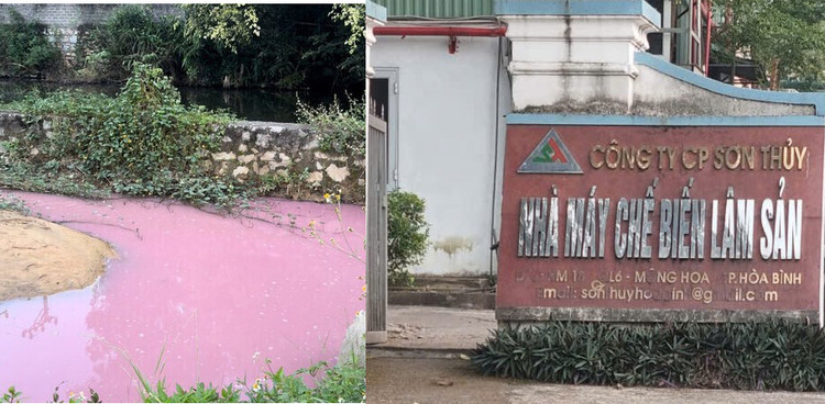 Dòng nước thải màu hồng do Công ty Cổ phần Sơn Thủy xả trái phép.