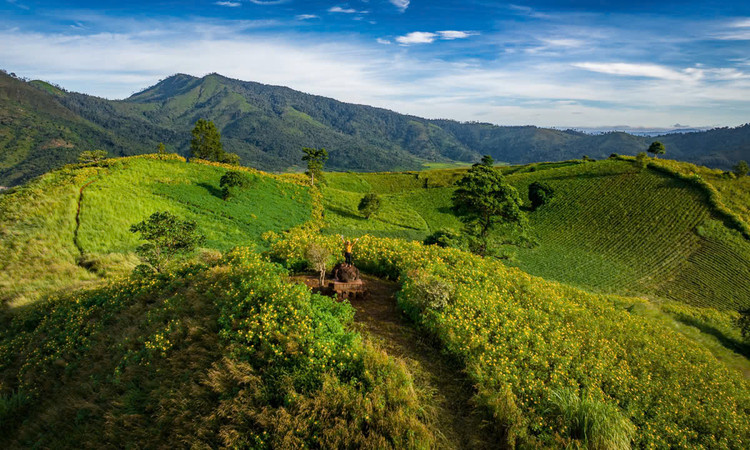 Chư Đăng Ya thu hút du khách vì nhiều mảng xanh bất tận - Ảnh: Đô Đô.