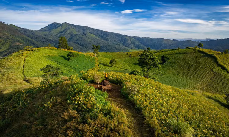 Chư Đăng Ya thu hút du khách vì nhiều mảng xanh bất tận - Ảnh: Đô Đô.