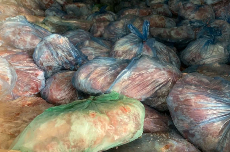 Kho thịt lợn nhiễm bệnh nguy hiểm bị phát hiện tại huyện Chương Mỹ. Kho thịt lợn nhiễm bệnh nguy hiểm bị phát hiện tại huyện Chương Mỹ.