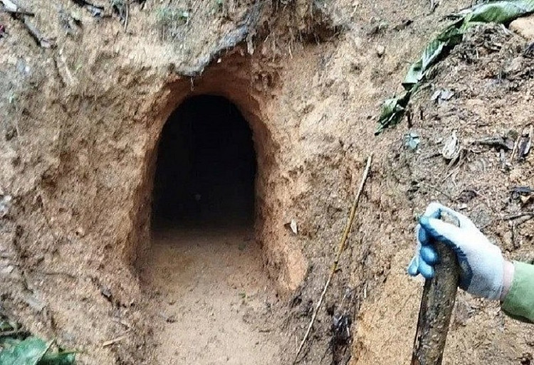Lực lượng chức năng tỉnh Thanh Hóa phát hiện hầm đào vàng tại bản Tân Phúc, xã Phú Lệ, huyện Quan Hóa. (Ảnh: Hoàng Hồng)