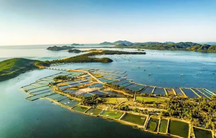 Đầm Ô Loan nhìn từ trên cao - Ảnh Internet.