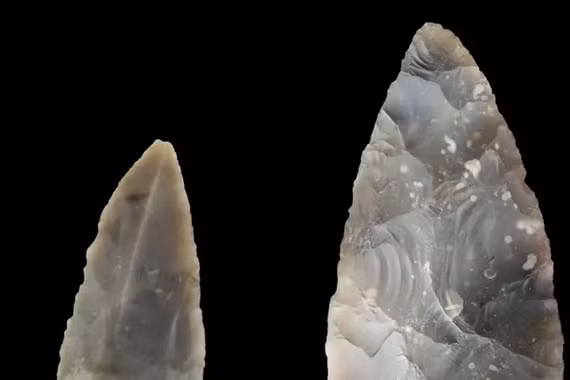 Người Neanderthal và sự tinh tế trong chế tác công cụ pha lê đá