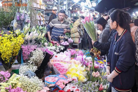 Chợ hoa lớn nhất miền Bắc tấp nập suốt đêm dịp cận Tết