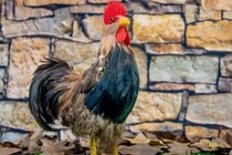 Phú quý tề thiên, 3 con giáp tài lộc đổ về ngay từ tháng 1/2026