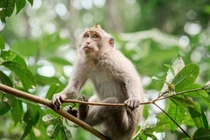 Từ Rằm tháng 10, 3 con giáp 'hái' lộc trời ban giàu nứt vách