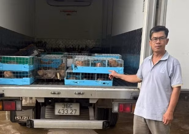 Khởi tố đối tượng buôn lậu động vật hoang dã ở Quảng Trị