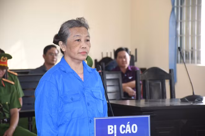 Tòa án Vĩnh Long xử phạt hành vi lợi dụng tự do dân chủ