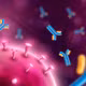 Khám phá chiến lược chống virus hoàn toàn khác biệt của hải quỳ