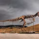 Nhiều lo ngại về bán đấu giá bộ xương khủng long T.rex