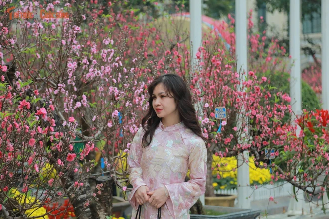 Người dân Hà Nội háo hức du xuân ngày đầu năm mới Bính Ngọ 2026