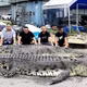 Hơn chục người Malaysia chiến đấu tiêu diệt cá sấu khổng lồ