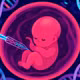 Công nghệ chỉnh sửa gene phôi người của Đại học Columbia đạt bước tiến mới