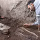 Giải mã hai bộ xương động vật ở Pompeii hé lộ cái chết bi thảm
